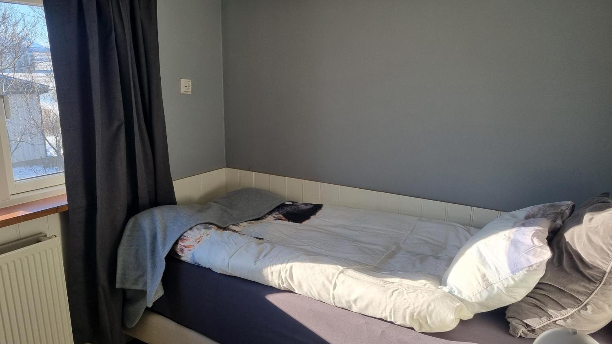 Fornilaekur Guesthouse Блондуос Екстериор снимка